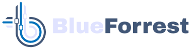 Blue Forrest Studio